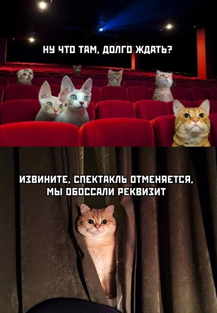   , , 