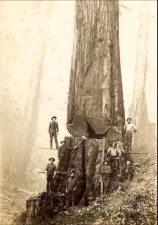 Уникальные фото 19 века История, Уинстон Черчилль, 19 век, Интересное, Люди, Стоунхендж, Длиннопост