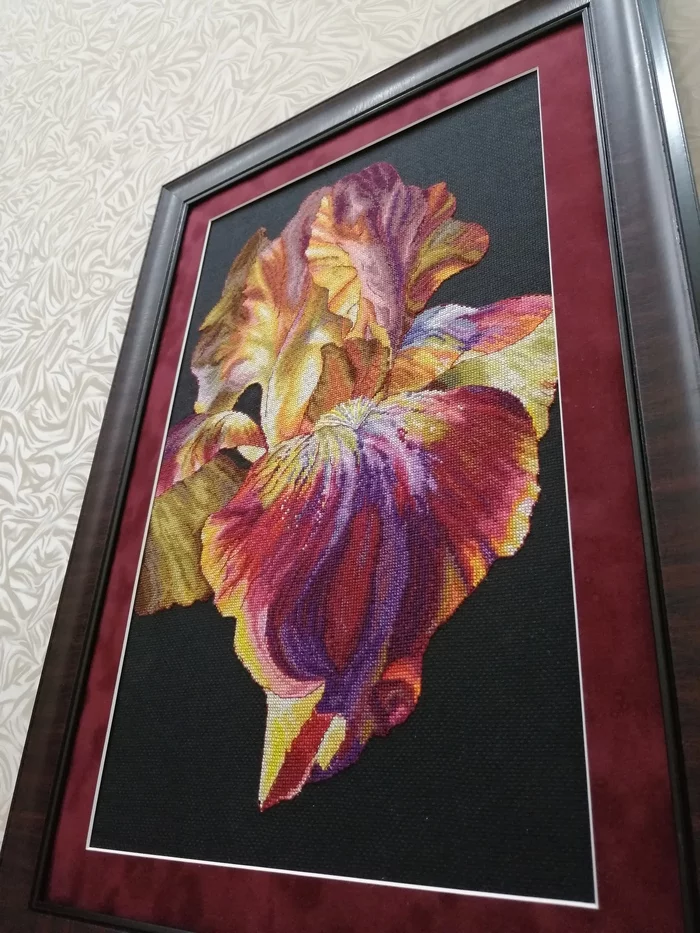 Iris Fire Waltz - My, Cross-stitch, Needlework with process, Irises, Longpost, Handmade