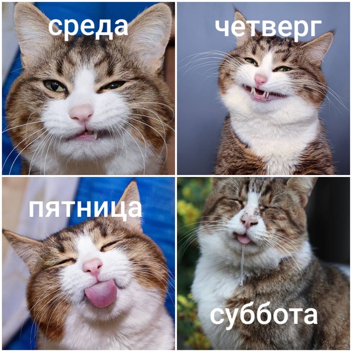 Пятница 14ое