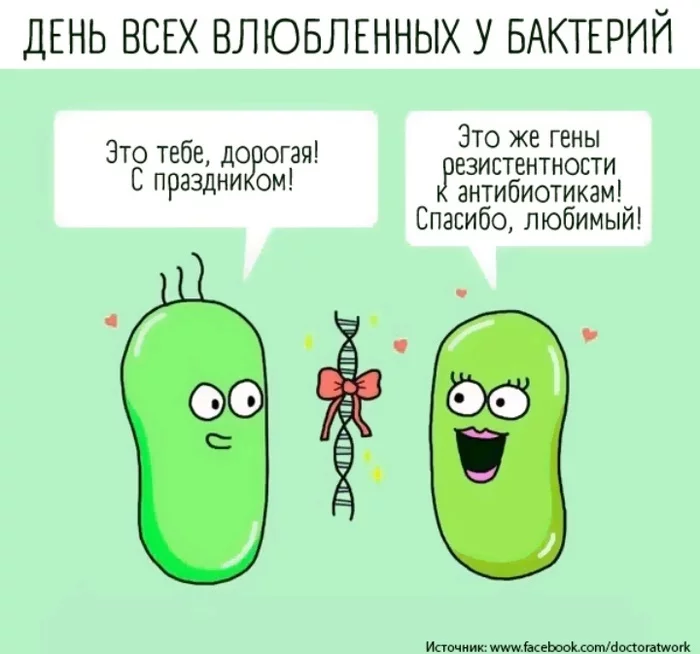 From Dr. Komarovsky’s Instagram - Antibiotics, February 14 - Valentine's Day, Genetics, Evgeny Komarovsky, Biology, Bacteria, Comics