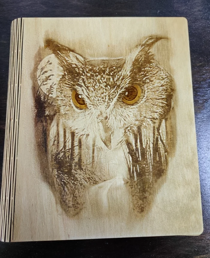 Engraving of an eagle owl - My, Notebook, With your own hands, Laser engraving, Owl, Carbon Dioxide Laser