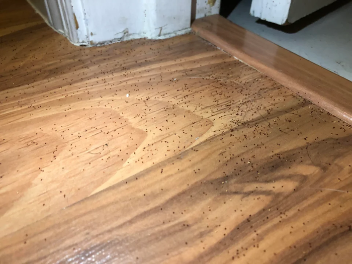 Что это за штука - 81 Перевел сам, Reddit, WhatIsThisThing, Видео, Длиннопост