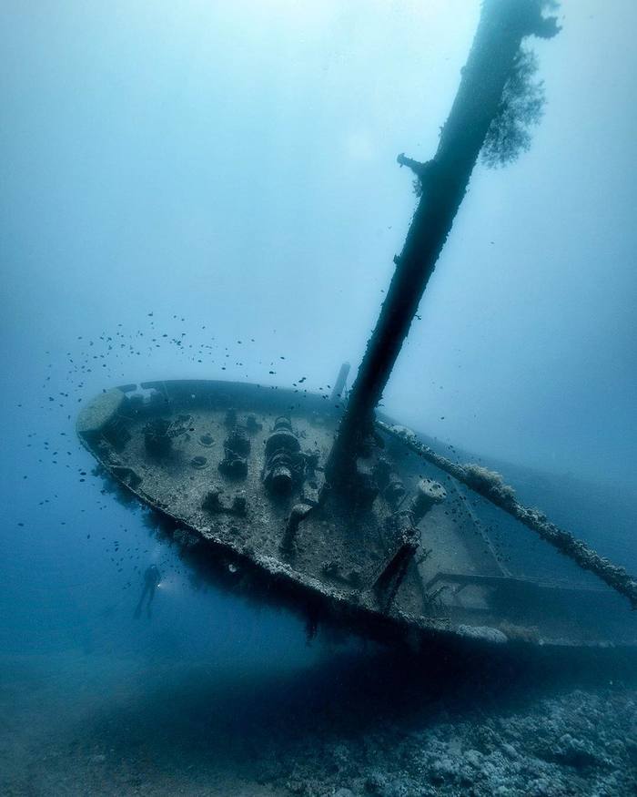 Алекс Доусон (Alex Dawson)— фотограф, аквалангист и режиссер Фотография, Дайвинг, Море, Длиннопост