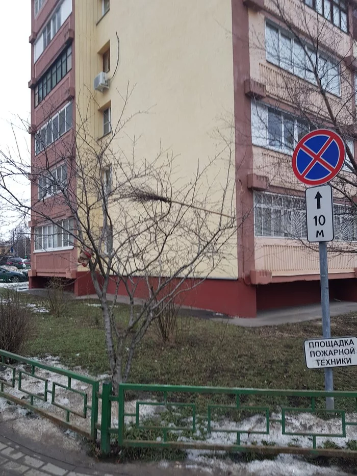 Windy in Moscow today - My, Broom, Windy, The photo, Longpost