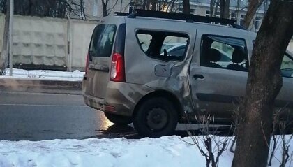 Необычное ДТП из Подмосковья: пони врезался в автомобиль - ДТП, Авария, Пони, Подольск, Лошади, Видео, Длиннопост