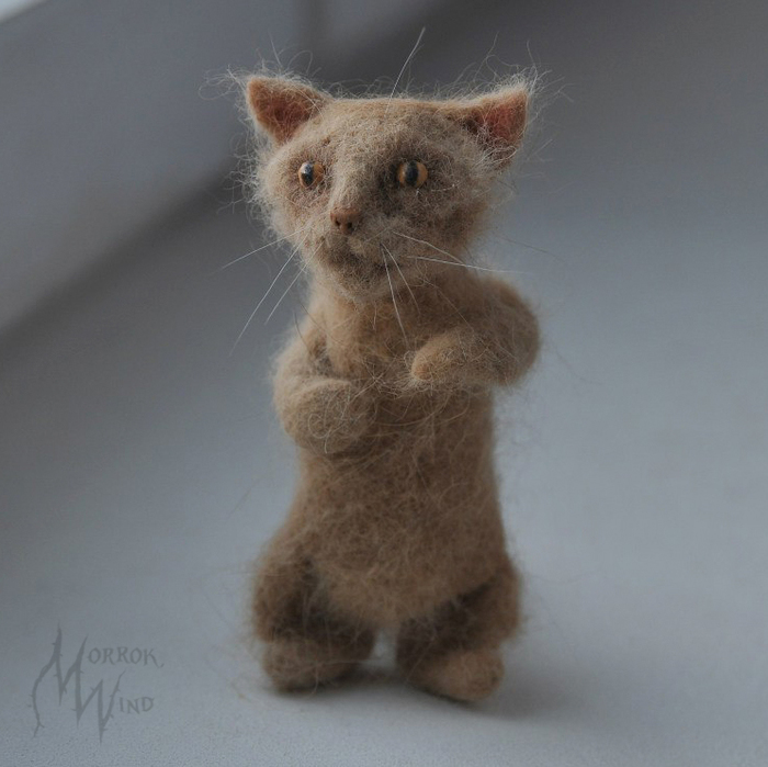 Котик из кошачьей шерсти | Пикабу