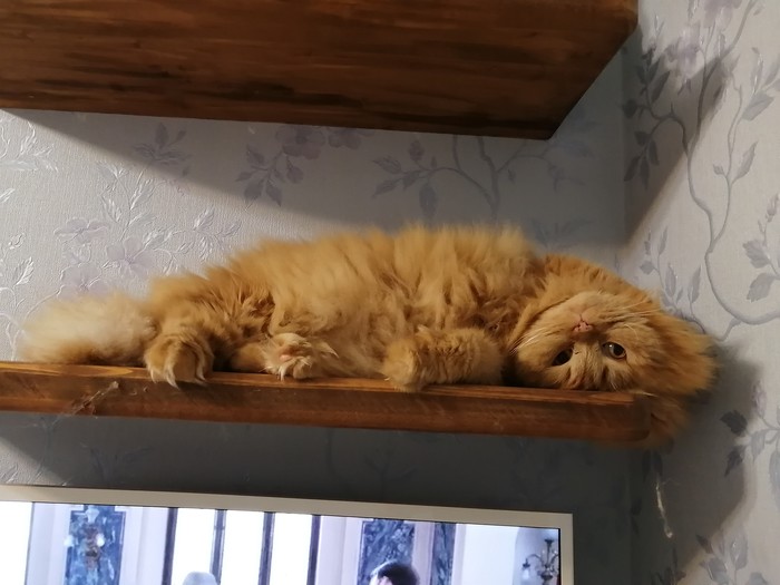 ���������� �����