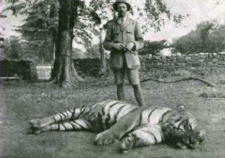 This tigress kept the whole region in fear! Champavat tigress - Man-eating animal that killed 436 people! - Hunter, Man-Eating Animals, Tiger, India, Nepal, Longpost