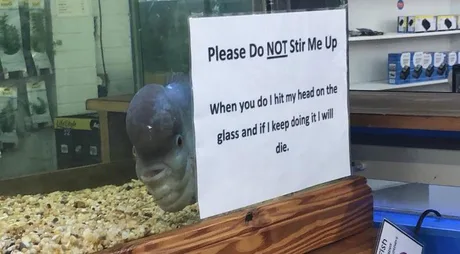 ,   ! , , , , , 