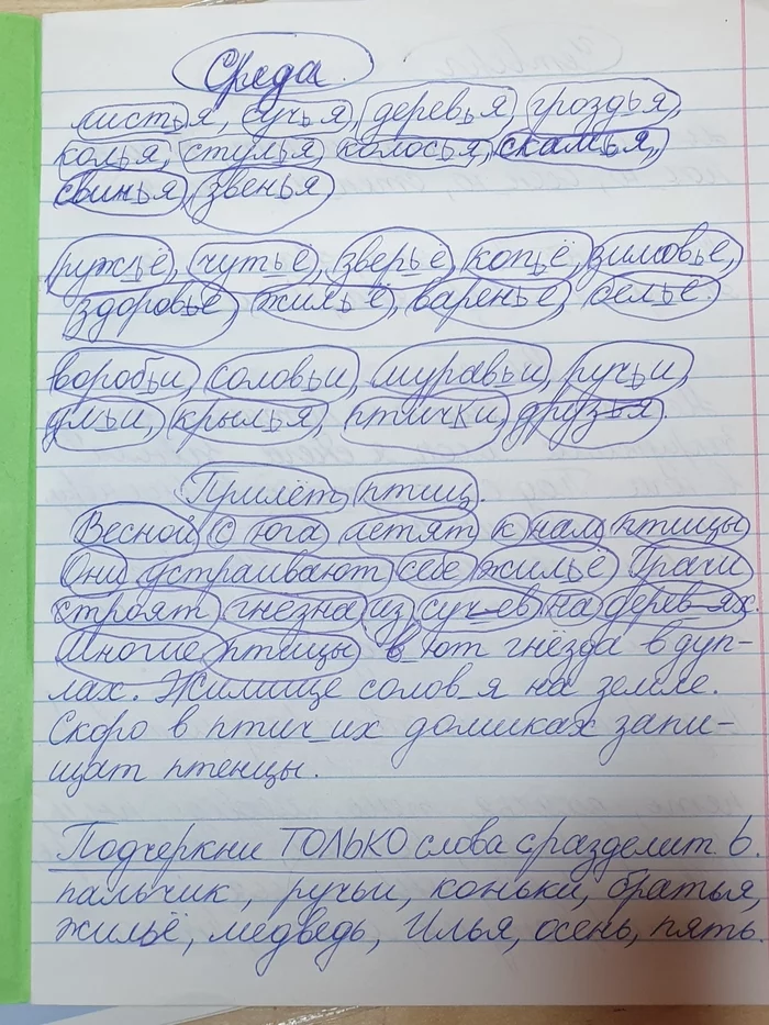 Обвел. А что не так? - Моё, Дети, Учеба, Домашнее задание, Начальная школа