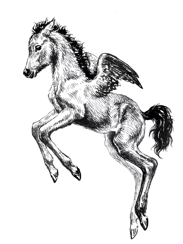 Little Pegasus - My, Art, Creation, Horses, Foal, Drawing, Pen drawing, Pegasus