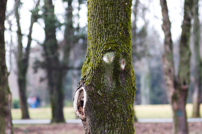 Я тебе на ушко шепну