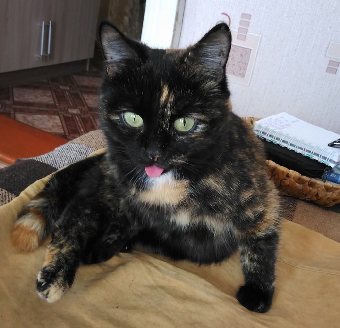 Когда немного зависла