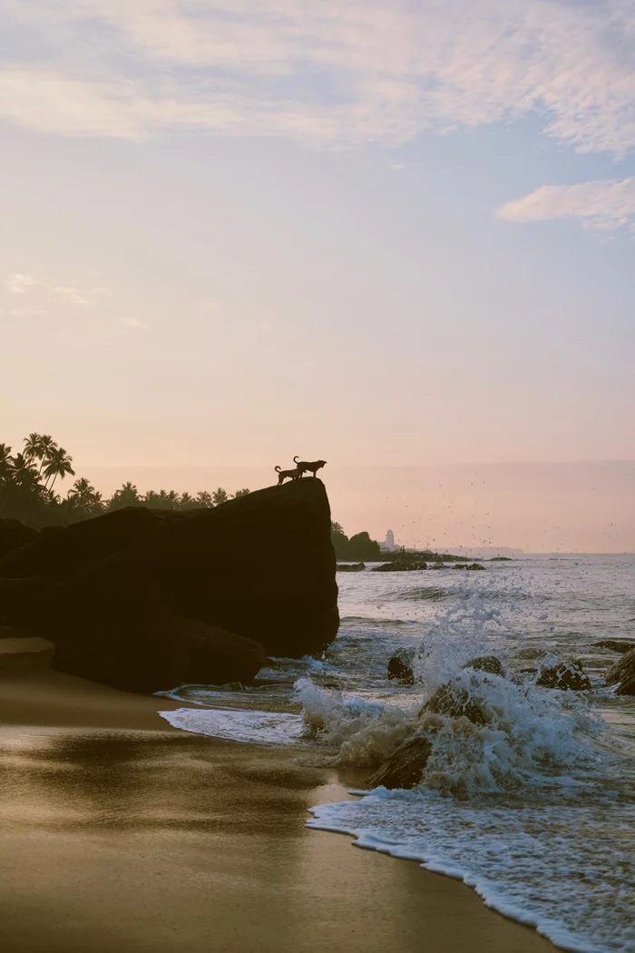 Sri Lanka - My, 35mm, Sri Lanka, Landscape