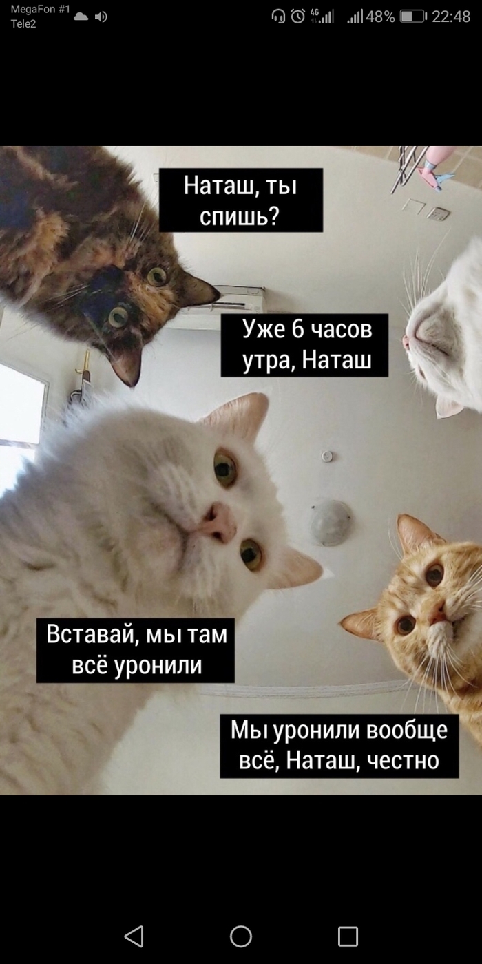   ,      , ...??? :&quot;  5 ...&quot;