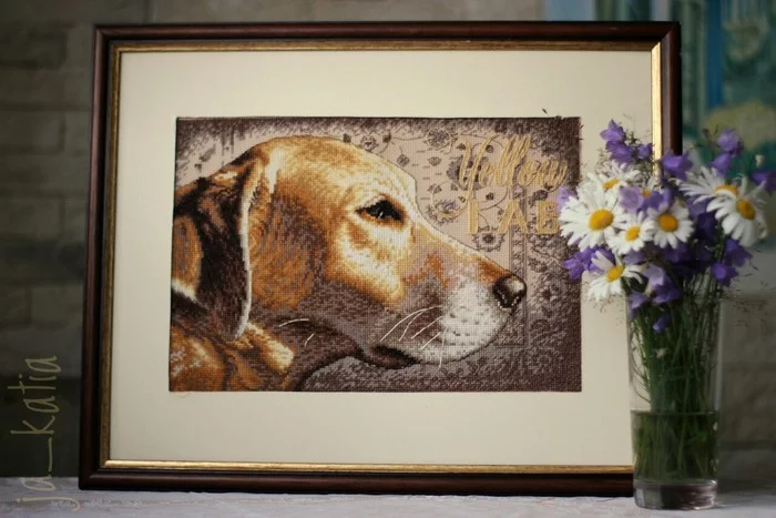 Dimensions Yellow Labrador - My, Cross-stitch, Embroidery, Dimensions