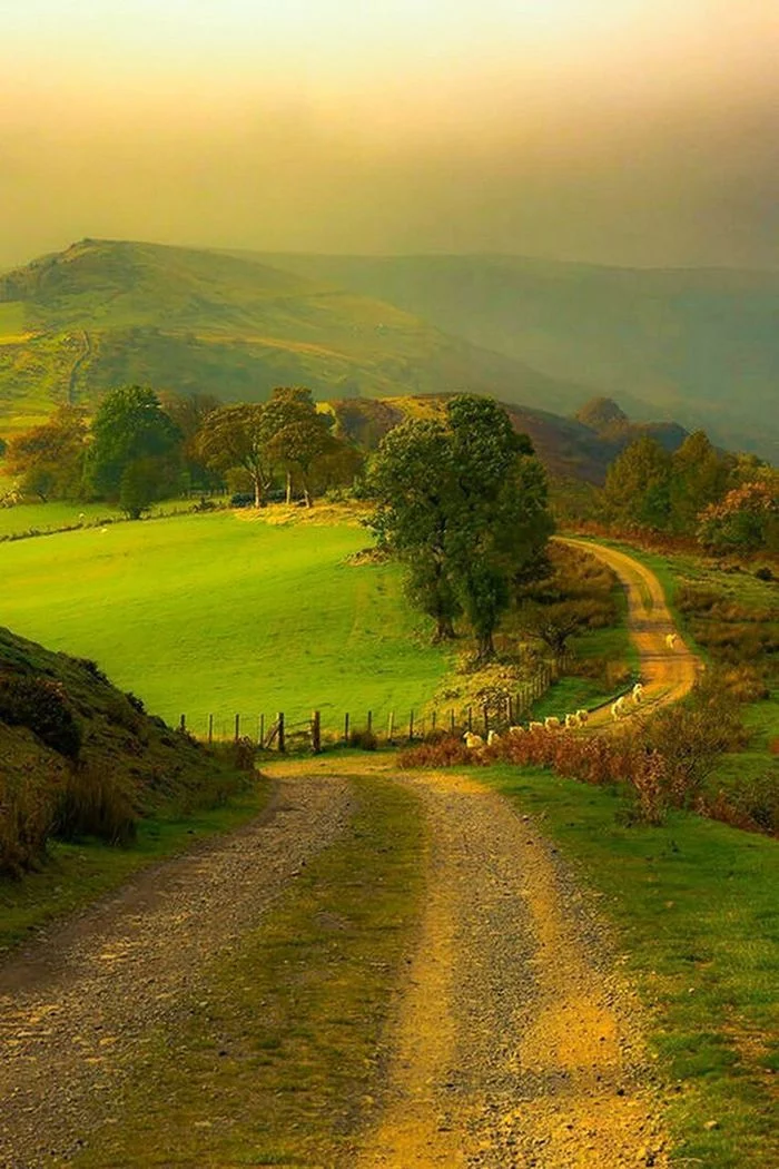 Dawn in summer - Summer, Greenery, The hills, beauty