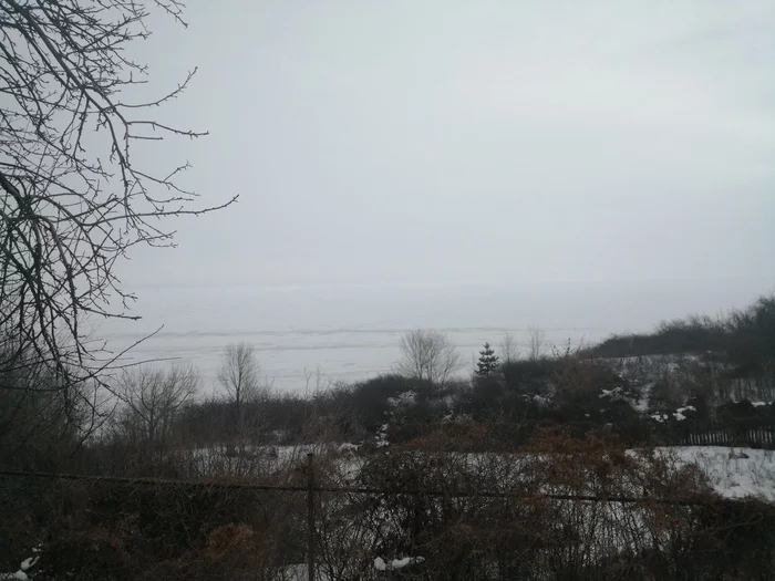 View of the Volga from the garden - My, The photo, Garden, Volga river, Winter