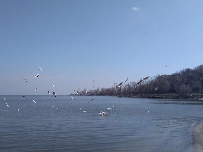 Лето в моем городе - Родина, Таганрог, Море, Лето, Моё