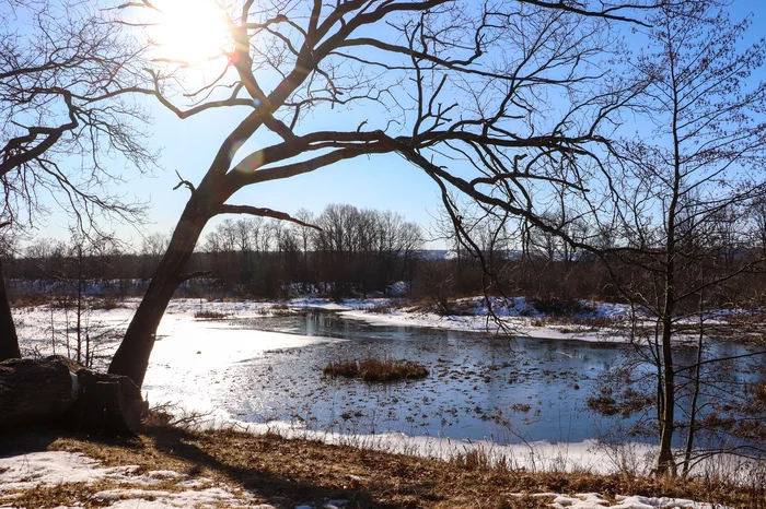 Spring is coming - My, Dzerzhinsk, The photo, Video, Spring, Canon 800D, Nature, Landscape, Longpost