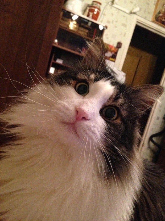 ���� � ������ ����!