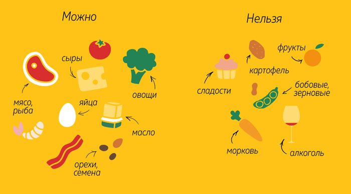 Долгосрочная кетогенная диета вызывает непереносимость глюкозы и уменьшенную массу а- и b-клеток, но без потери веса у мышей