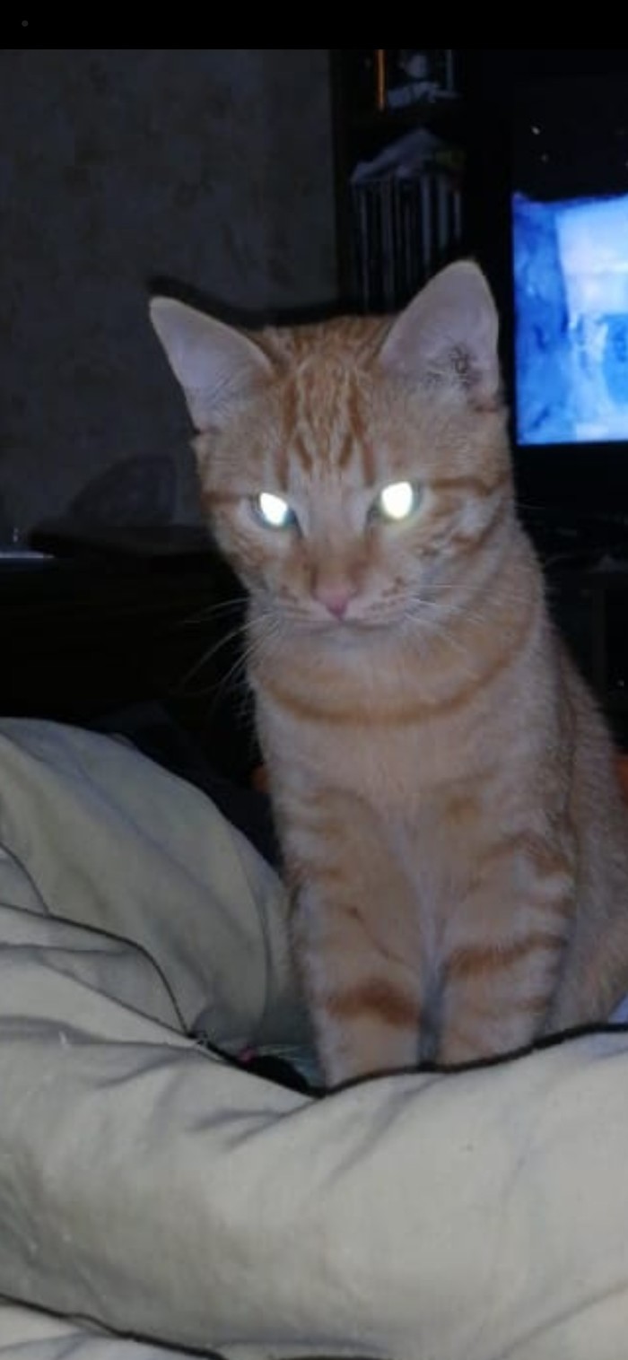 ���� ��������� � ������ ������