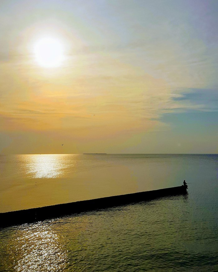 �����������. ������������