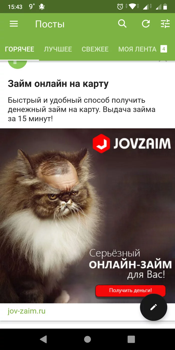 Advertising on Pikabu - Advertising, cat