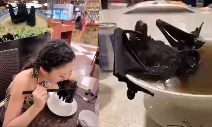 Китайская кухня: от пыток живых к могилам мертвых Китай, Кулинария, Вирус, Страшно, История, Медицина, Scientaevulgaris, Длиннопост, Жесть Китайская кухня: от пыток живых к могилам мертвых Китай, Кулинария, Вирус, Страшно, История, Медицина, Scientaevulgaris, Длиннопост, Жесть