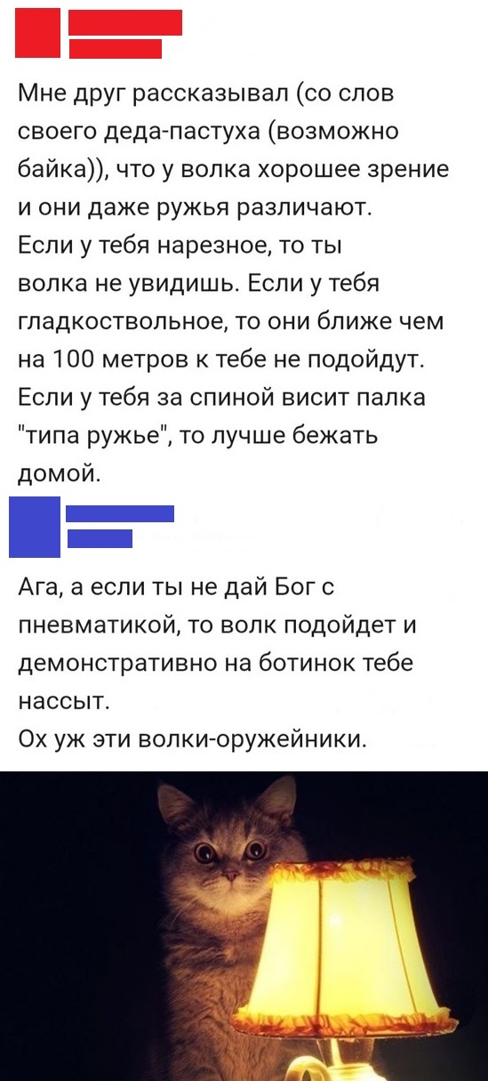 А если противотанковое? - Оружие, Кот с лампой, Волк, Скриншот