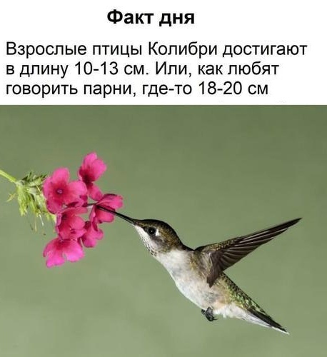 Или как говорят на пикабу - 49,5