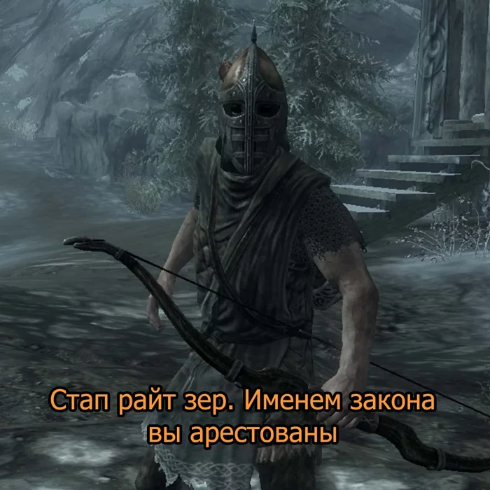 Типичный стражник Скайрима - The Elder Scrolls V: Skyrim, Мемы, Игры, Длиннопост