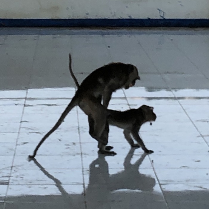 Ответ на пост «Да что вы знаете о Камасутре»