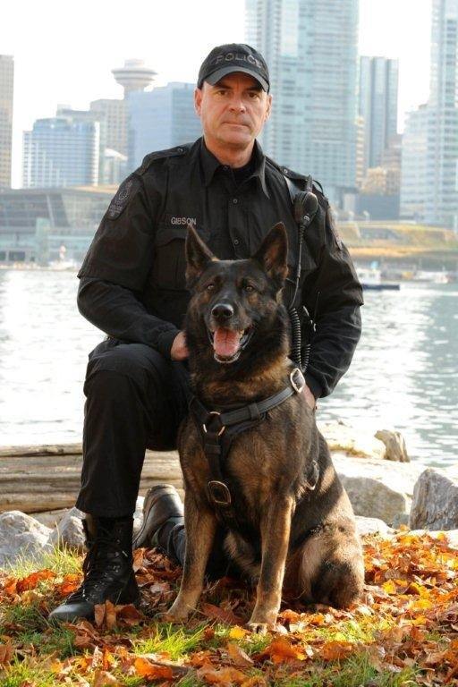 The same 1%. - Police, Dog, Service dogs, k-9, Crime, Longpost, Canada