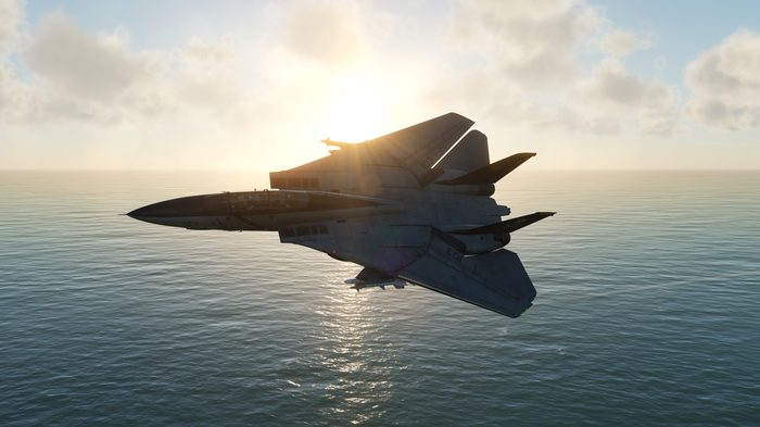 F-14B    Dcs, Digital Combat Simulator, F-14, , , 