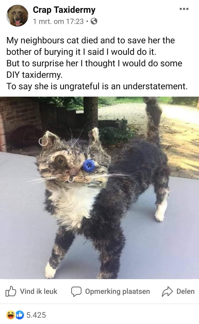 � ��� ���� �������� ���� �������...