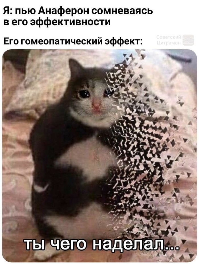 "Гомеопатия работает, главное верить в её эффект во время приёма"