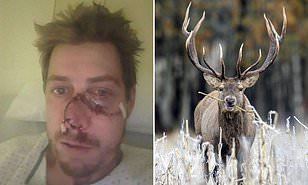 Karma: a deer tore a hunter's face - Karma, Hunting, Longpost