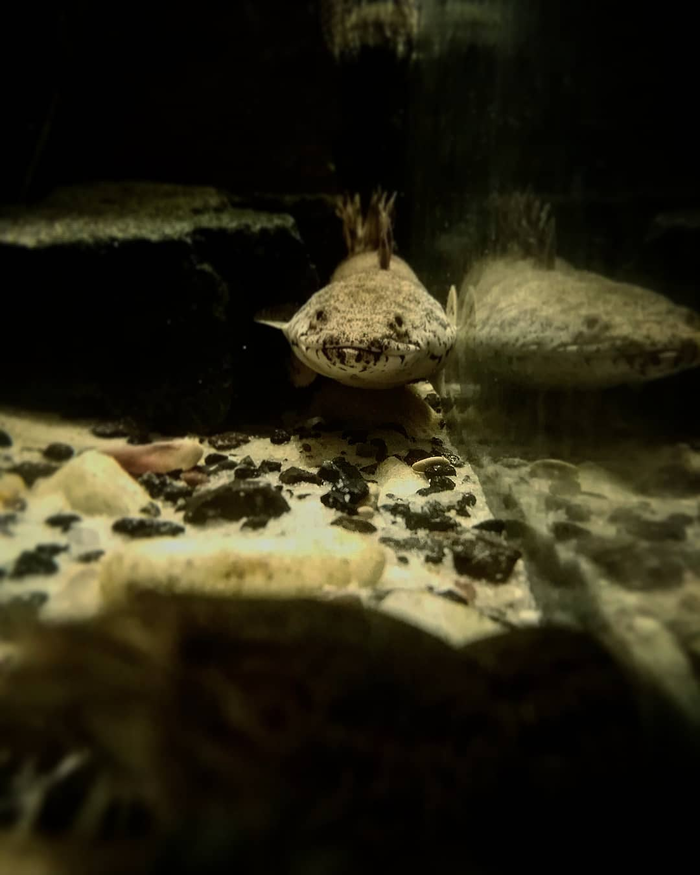  , , , , 