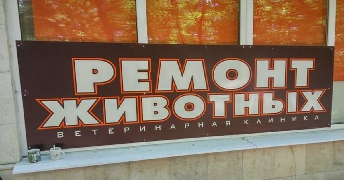 ветеринарная клиника центр ростов. ремонт животных. конный завод починковский район нижегородской. нижний новгород кролик подделка. конный завод починки.