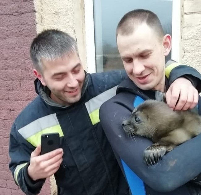 A moment of fluffy kindness - Saint Petersburg, Animal Rescue, Ministry of Emergency Situations, Positive, Joy, Milota