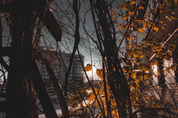 #��������������