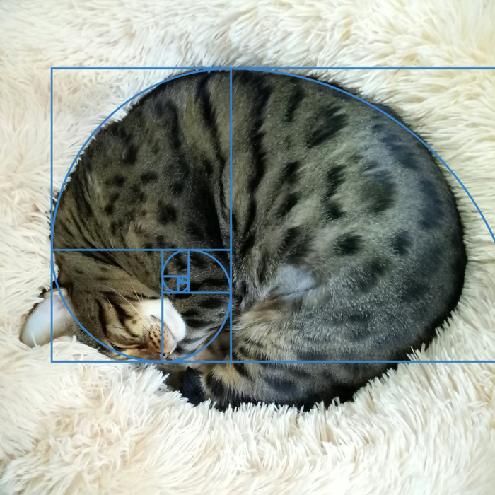 Золотое сечение Кото-Фибоначчи