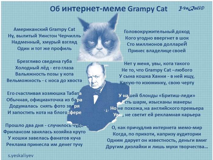 About the internet meme Grampy Cat - My, Humor, cat, Mood, Poetry, Grumpycat, Poems, Grumpy cat