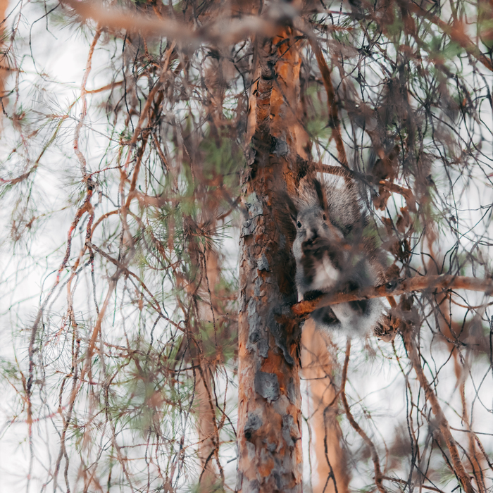     , , Lightroom, Canon, , 