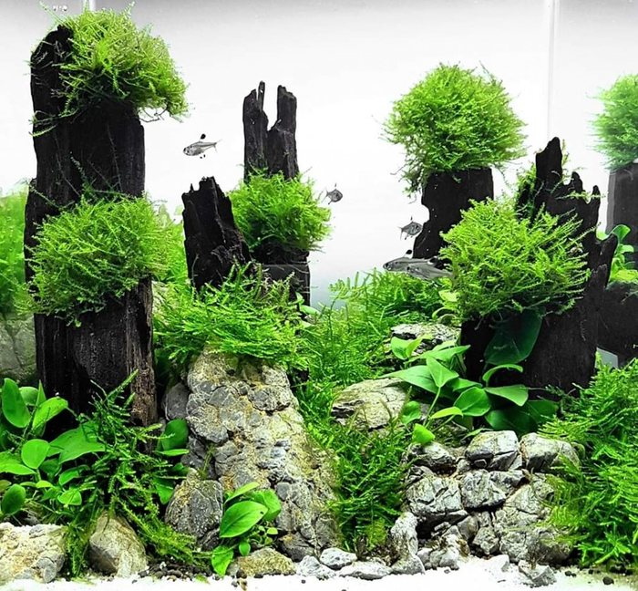 Интересная композиция