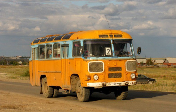 STRANGE VILLAGE. PART THREE - My, Tree, Travel across Russia, Childhood, Longpost