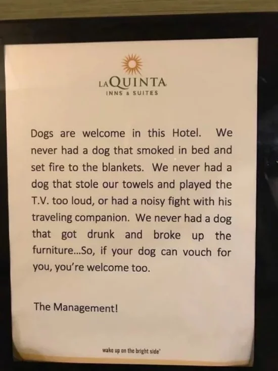 A good hotel needs good boys and girls - Hotel, Dog, Translation, People, 9GAG